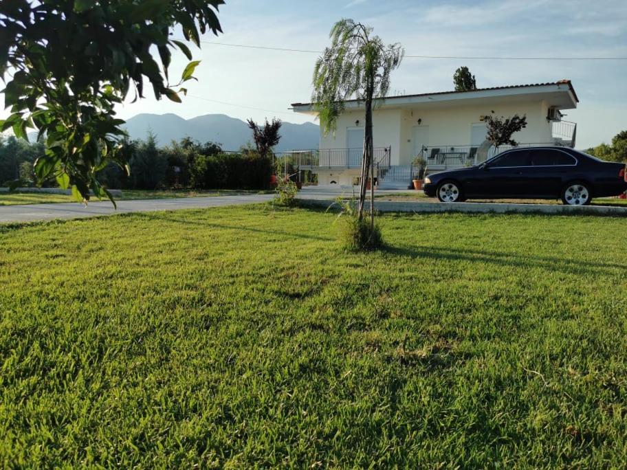 Villa Filoxenia Αμάρυνθος Εξωτερικό φωτογραφία